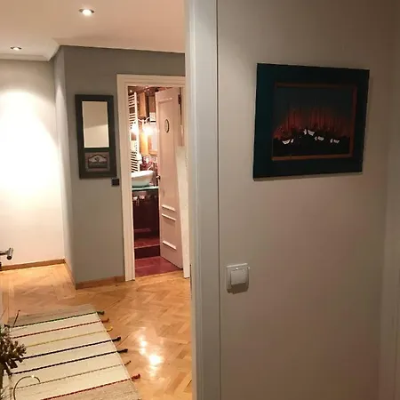 Cental Penthouse, Parking, Wifi, Recently Renovated Apartamento